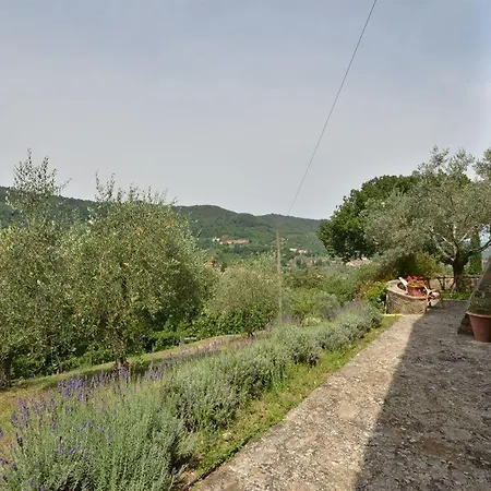 Villa Casetta Busecchio Greve in Chianti
